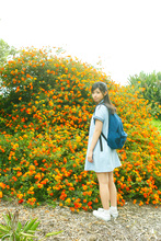 Rina Koike - Picture 11